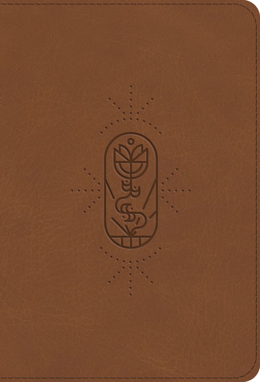 ESV Kid's Bible, Compact (TruTone, The True Vine)