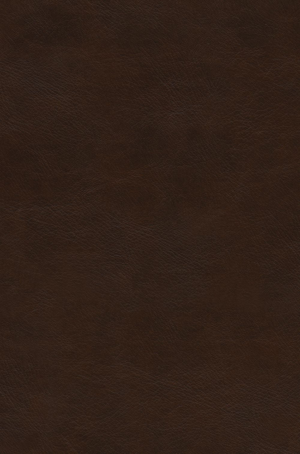 ESV Preaching Bible (TruTone over Board, Brown)