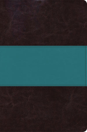 Holman NIV Rainbow Bible; 2015; Brown/Turquoise; Leather Touch *Very Good*