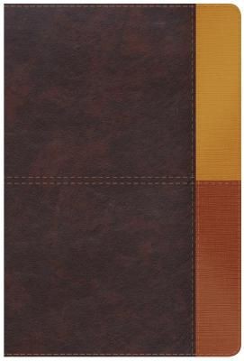 NIV Rainbow Study Bible, Cocoa/Terra Cotta/Ochre LeatherTouch