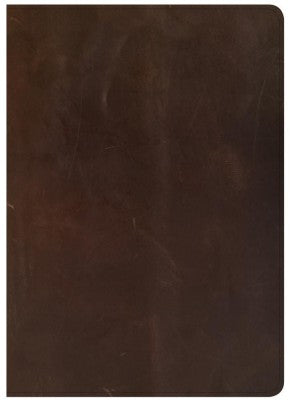 CSB She Reads Truth Bible, Brown Genuine Leather, Indexed, Black Letter, Full-Color Design, Wide Margins, Notetaking Space, Devotionals, Reading ... Ribbon Markers, Easy-to-Read Bible Serif Type