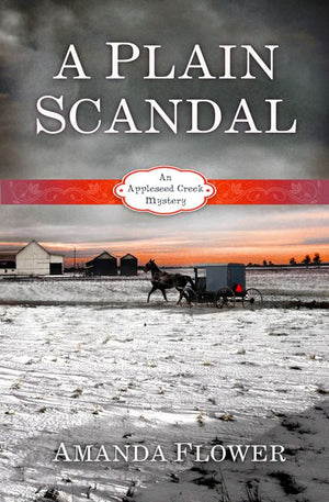 A Plain Scandal: An Appleseed Creek Mystery *Very Good*