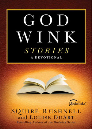 Godwink Stories: A Devotional (3) (The Godwink Series)