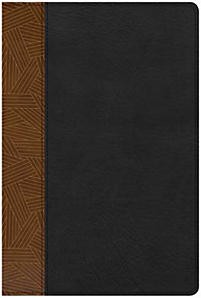 CSB Rainbow Study Bible, Black/Tan LeatherTouch, Indexed