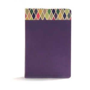 CSB Rainbow Study Bible, Purple Leather Touch *Like New*