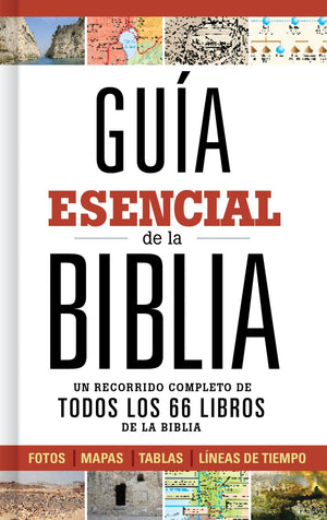 Guia esencial de la Biblia / Ultimate Bible Guide (Spanish Edition)