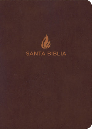 Biblia Reina Valera 1960 Compacta. Letra Grande negro, piel fabricada / Compact Bible RVR 1960 Large Print Black, Bonded Leather (Spanish Edition) *Like New*