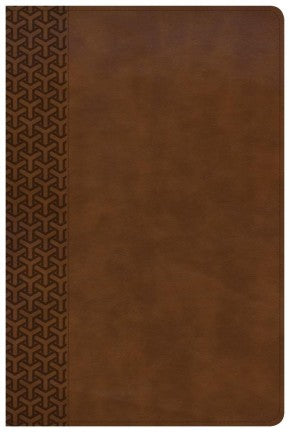CSB Everyday Study Bible, British Tan LeatherTouch, Black Letter, Study Notes, Illustrations, Aricles, Easy-to-Carry, Easy-to-Read Bible Serif Type *Like New*