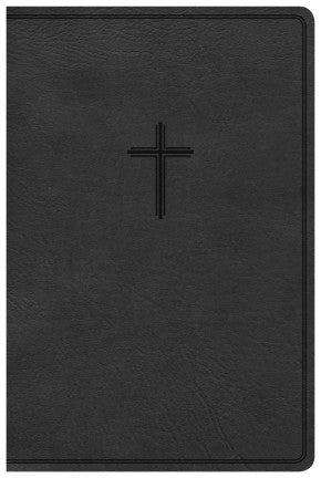 CSB Everyday Study Bible, British Tan LeatherTouch, Black Letter, Study Notes, Illustrations, Aricles, Easy-to-Carry, Ribbon Marker, Easy-to-Read Bible Serif Type
