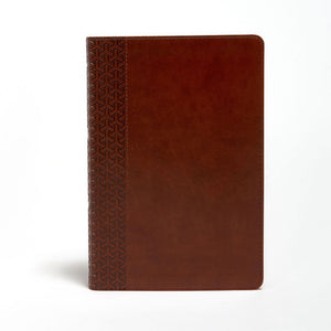 KJV Everyday Study Bible, British Tan LeatherTouch *Like New*