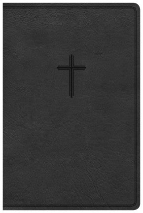 KJV Everyday Study Bible, British Tan LeatherTouch, Black Letter, Study Notes, Illustrations, Aricles, Easy-to-Carry, Ribbon Marker, Easy-to-Read Bible Serif Type *Like New*