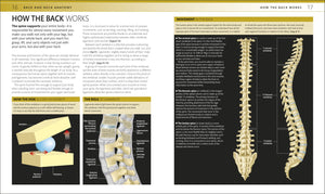 Strengthen Your Back: Exercises to Build a Better Back and Improve Your Posture