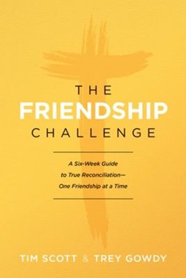 The Friendship Challenge: A Six-Week Guide to True Reconciliation--One Friendship at a Time