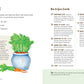 How to Grow Your Own Food: An Illustrated Beginner's Guide to Container Gardening *Very Good*