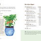 How to Grow Your Own Food: An Illustrated Beginner's Guide to Container Gardening *Very Good*