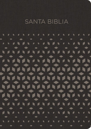 Biblia Reina Valera 1960 para Regalos y Premios. Simil piel, negro y plata / Gift and Award Holy Bible RVR 1960. LeatherTouch, Black and Silver (Spanish Edition)