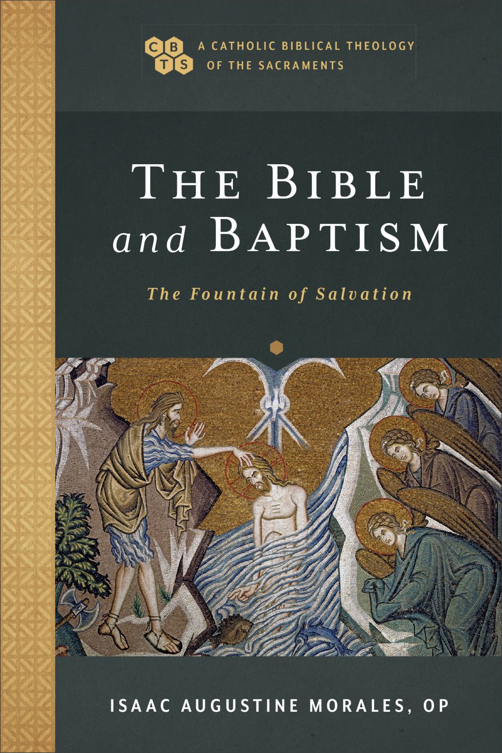 The Bible and Baptism: The Fountain of Salvation (A Catholic Biblical Theology of the Sacraments) *Very Good*