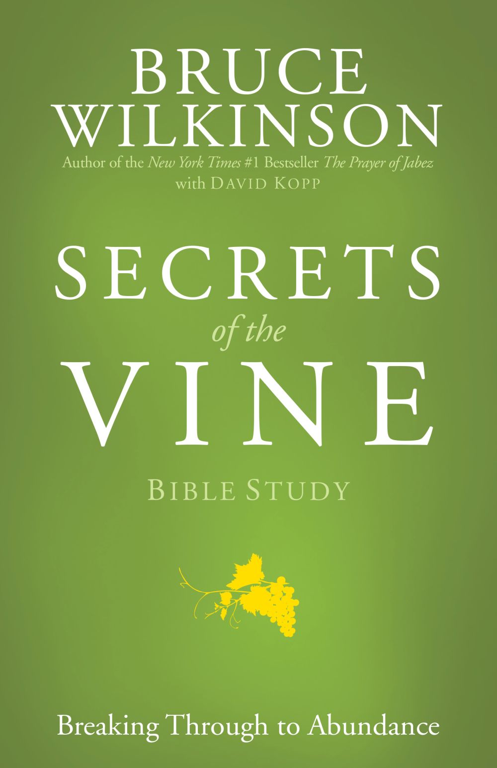 Secrets of the Vine Bible Study *Acceptable*