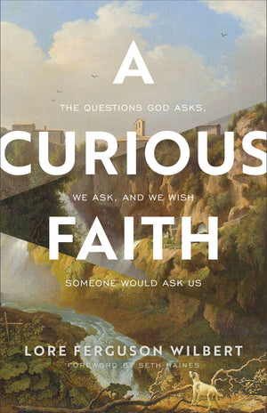 Curious Faith