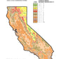 California Month-by-Month Gardening: What to Do Each Month to Have a Beautiful Garden All Year