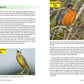 North American Songbirds: Identify the most common songbirds and hear their calls on your smartphone (Backyard Birding)