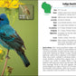 Birds of Wisconsin Field Guide (Bird Identification Guides)