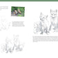 Forest Animals (Drawing Made Easy)