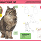 Learn to Draw Cats & Kittens: Step-by-step instructions for more than 25 favorite feline friends