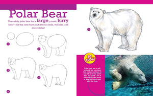 All About Drawing Sea Creatures & Animals: Learn to draw more than 40 fantastic animals step by step - Includes fascinating fun facts and fantastic photos!