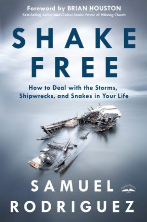 Shake Free: How to Deal with the Storms, Shipwrecks, and Snakes in Your Life *Very Good*