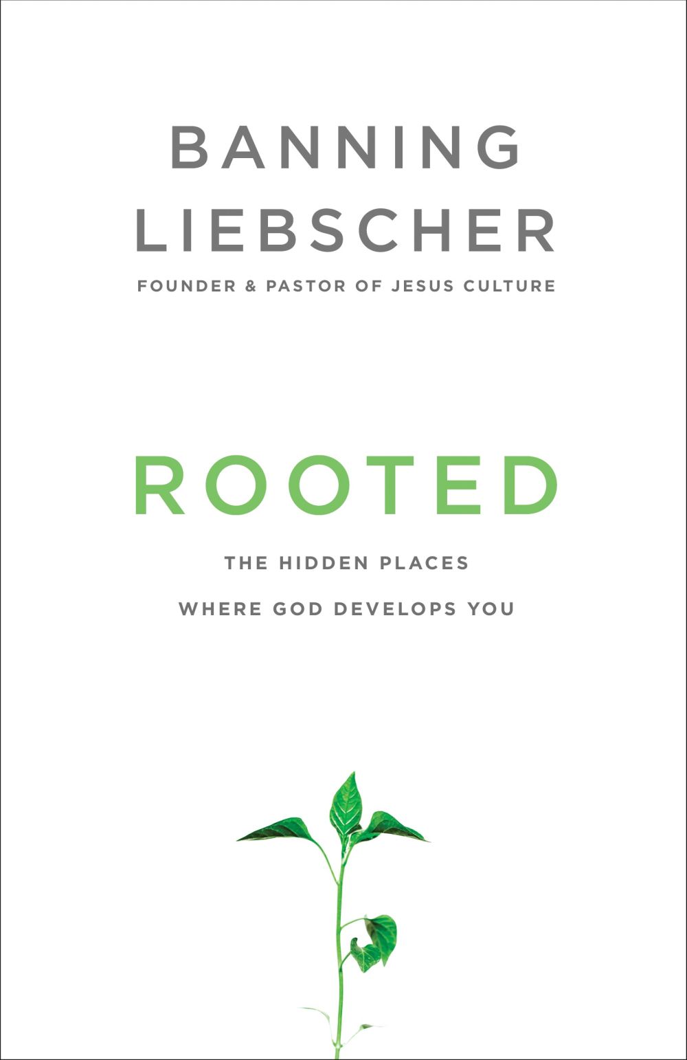 Rooted: The Hidden Places Where God Develops You