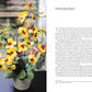 Paper Flowers Chinese Style: Create Handmade Gifts and Decorations *Very Good*