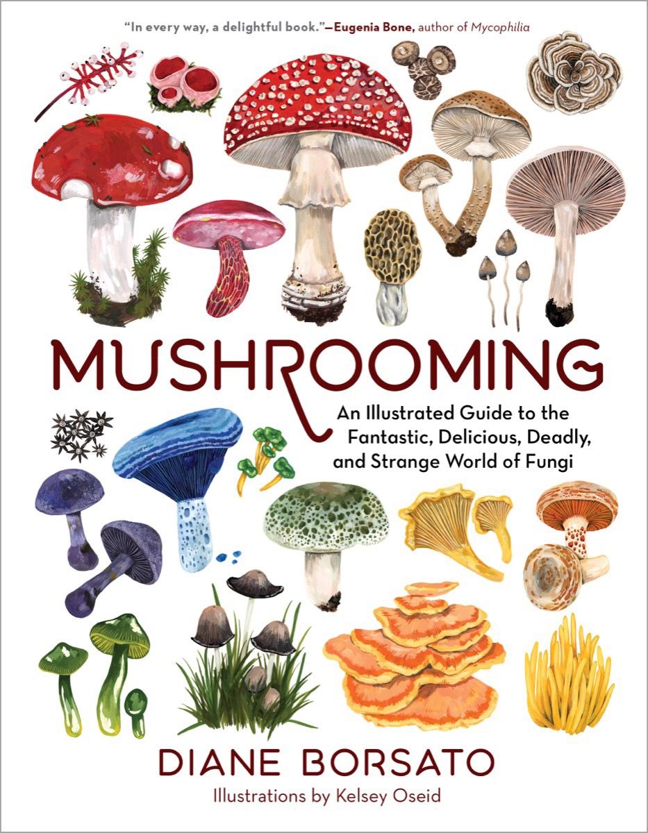 Mushrooming: An Illustrated Guide to the Fantastic, Delicious, Deadly, and Strange World of Fungi *Very Good*