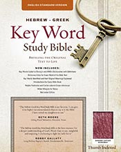 The Hebrew-Greek Key Word Study Bible: ESV Edition, Burgundy Bonded Leather Indexed (Key Word Study Bibles) *Like New*