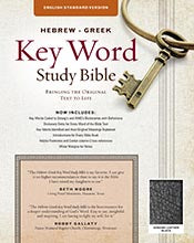 The Hebrew-Greek Key Word Study Bible: ESV Edition, Black Genuine Thumb-Indexed (Key Word Study Bibles) *Like New*