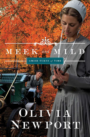 Meek and Mild (Amish Turns of Time)