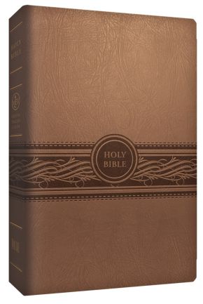 MEV Bible Personal Size Large Print Tan: Modern English Version *Very Good*