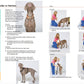 Dog Training 101: Step-by-Step Instructions for raising a happy well-behaved dog