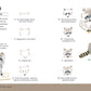 How to Draw Almost Every Animal: An Illustrated Sourcebook (Almost Everything)
