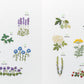 Plant Lady Embroidery: 300 Botanical Embroidery Motifs & Designs to Stitch
