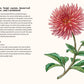 Dahlias: A Little Book of Flowers (Little Book of Natural Wonders)