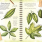 The Art of Botanical & Bird Illustration: An artist's guide to drawing and illustrating realistic flora, fauna, and botanical scenes from nature *Very Good*