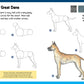 How to Draw Dogs & Puppies: Step-by-step instructions for 20 different breeds (Learn to Draw)