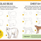 How to Draw Zoo Animals: Step-by-step instructions for 20 wild creatures (Learn to Draw)