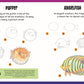 How to Draw Sea Creatures: Step-by-step instructions for 20 ocean animals (Learn to Draw)