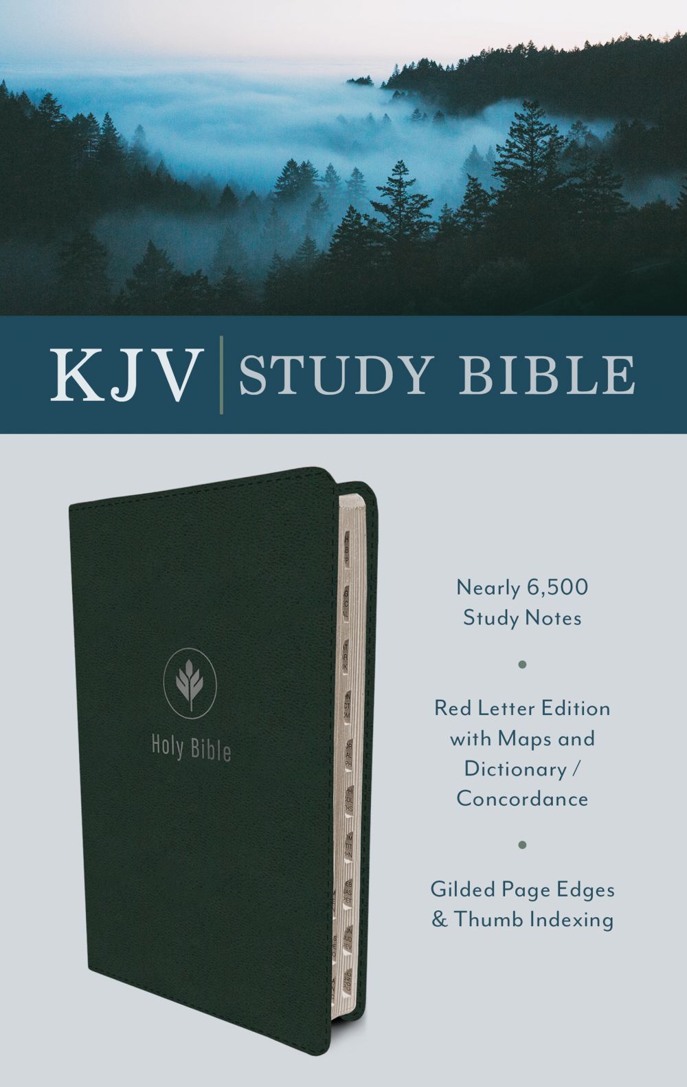 The KJV Study Bible (Indexed) [Evergreen Fog] *Like New*