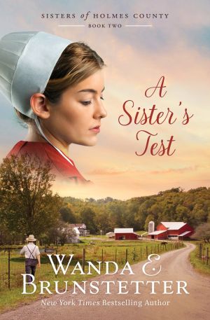A Sister's Test (The Sisters of Holmes County, 2)