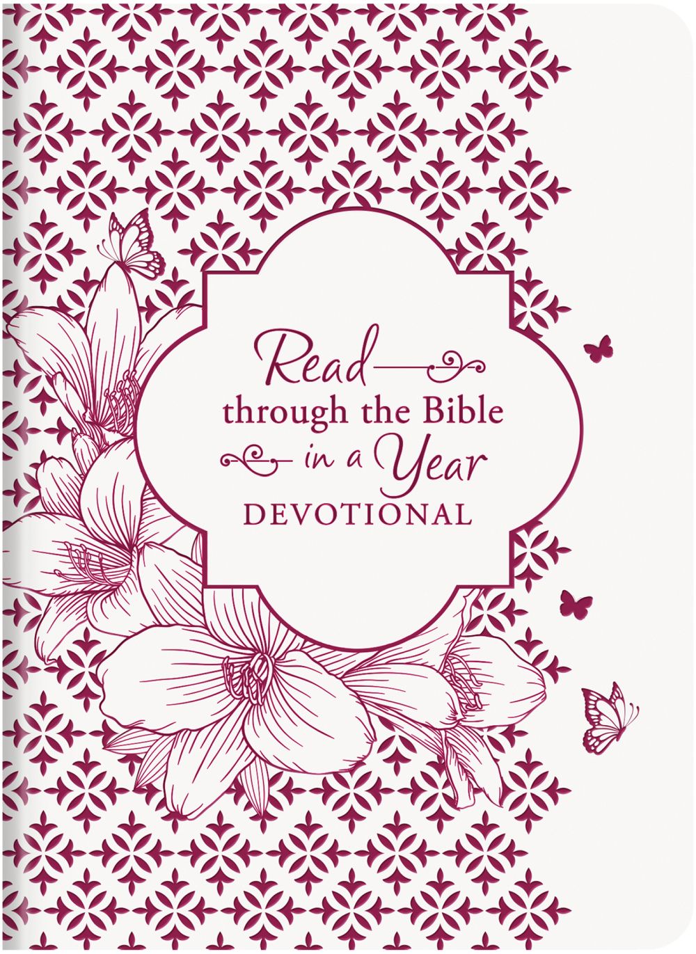 Read through the Bible in a Year Devotional *Very Good*