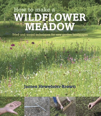 How to Make a Wildflower Meadow: Tried-and-Tested Techniques for New Garden Landscapes