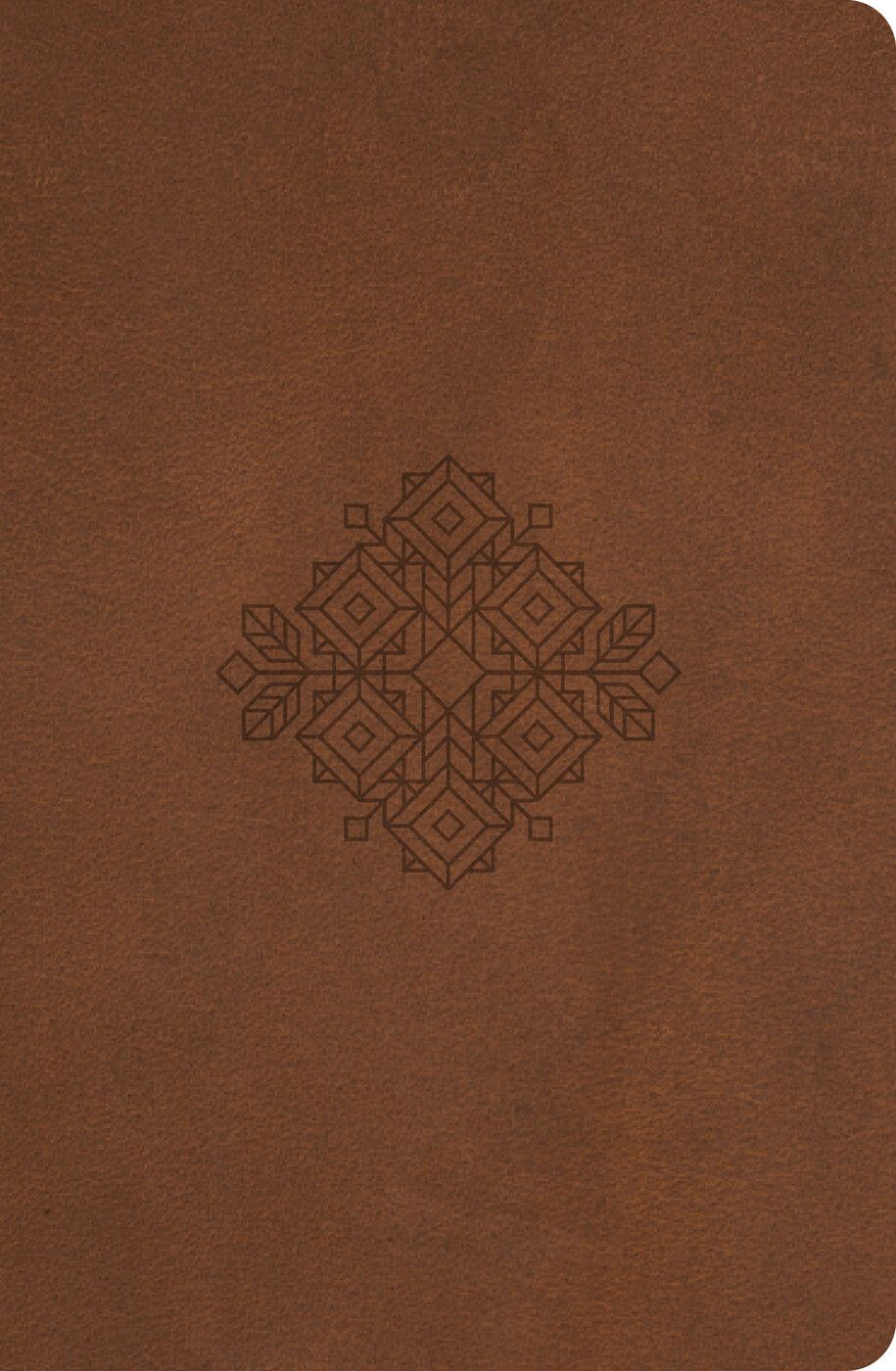 Truth For Life (Gift edition): 365 Daily Devotions (Imitation Leather Gospel Gift Devotional for the Entire Year - Includes a Yearly Bible Reading ... Marker, and Sleeve) (Truth for Life, 1)